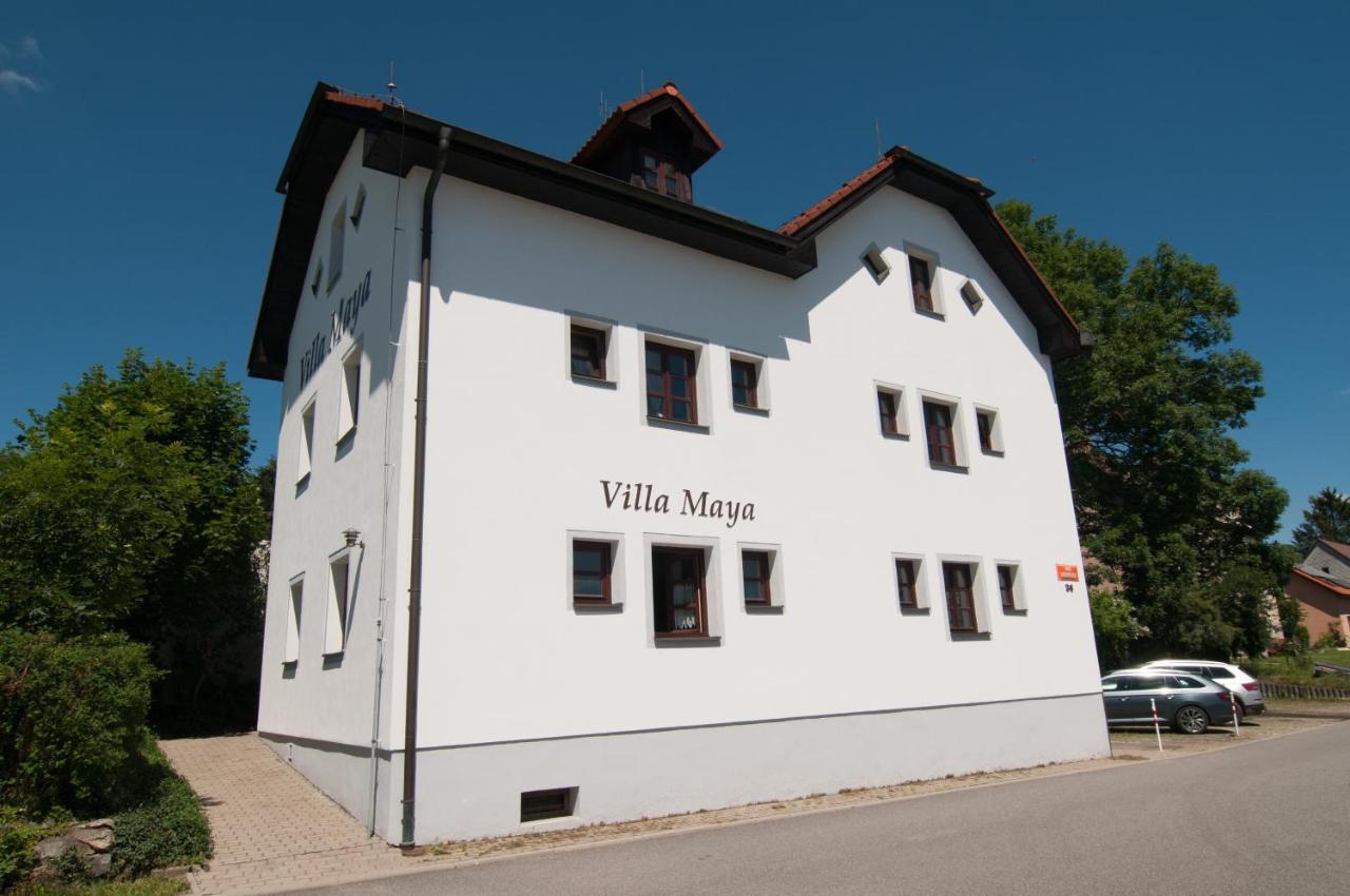 Villa Maya Horní Planá Exteriér fotografie